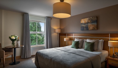 Habitación estándar con 1 cama doble o 2 individuales, 1 cama de matrimonio grande