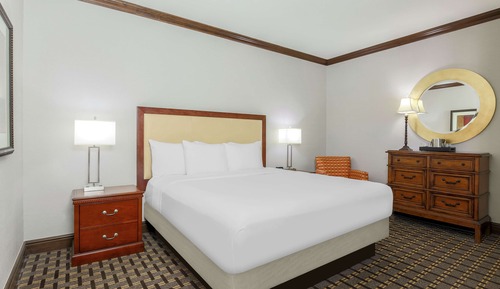 King Suite, Suite junior, 1 cama de matrimonio grande