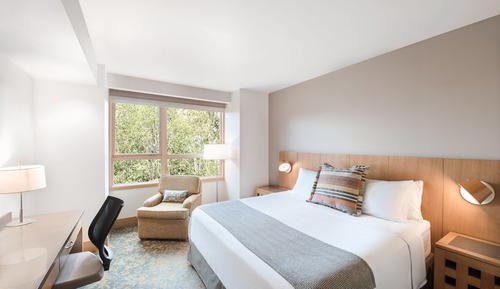 Habitación Deluxe, 1 cama de matrimonio grande