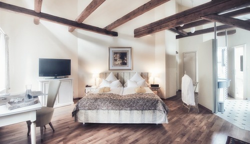 Suite estudio junior, vistas al jardín