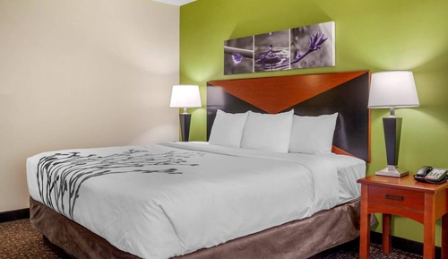 Habitación estándar, 1 cama de matrimonio grande, no fumadores