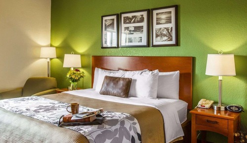 Suite, 1 cama de matrimonio grande, accesible para personas con discapacidad, no fumadores