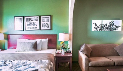Suite, 1 cama de matrimonio grande, no fumadores