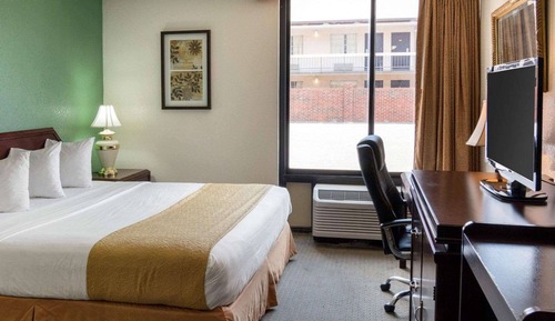 Habitación estándar, 1 cama de matrimonio grande, no fumadores
