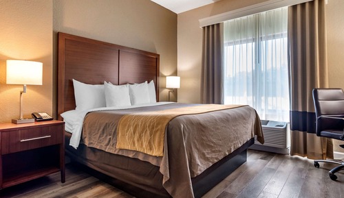 Habitación estándar, 1 cama de matrimonio grande, no fumadores