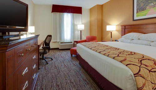 Habitación Deluxe, 1 cama de matrimonio grande, frigorífico y microondas