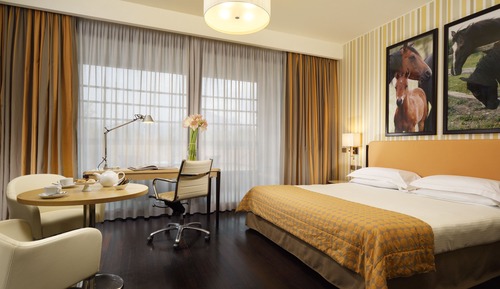 Habitación Deluxe