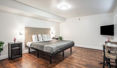 Habitación ejecutiva, 1 cama de matrimonio grande