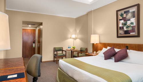 Habitación doble, 1 cama de matrimonio grande