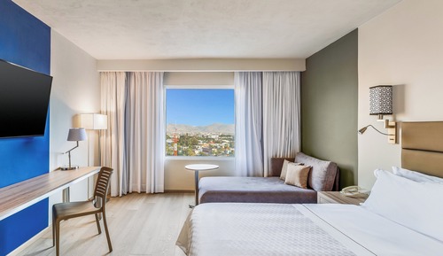 Habitación ejecutiva, 1 cama de matrimonio grande