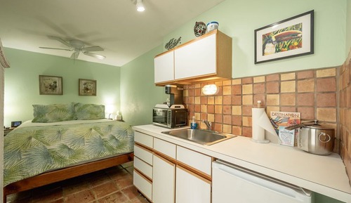 Habitación estándar, 1 cama de matrimonio, no fumadores (1 Queen Bed 4)