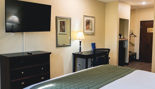 Habitación estándar, 1 cama de matrimonio grande, no fumadores