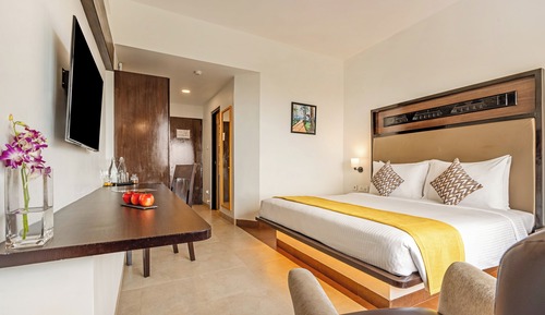 Habitación clásica doble, 1 cama doble