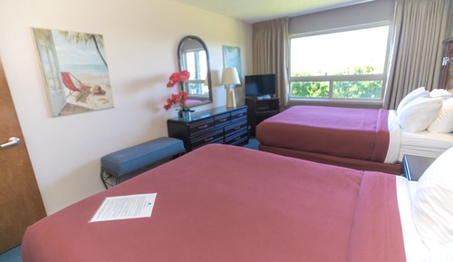 Suite, 1 habitación (2nd Floor No Pets)