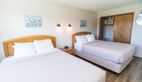 Suite, 1 habitación