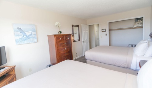 Suite, 1 habitación