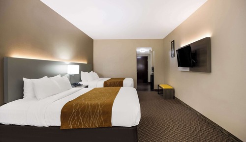 Suite, varias camas, no fumadores