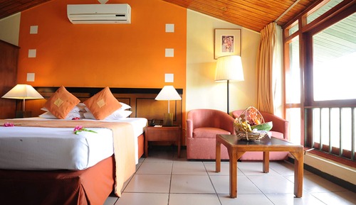 Habitación estándar con 1 cama doble o 2 individuales, vistas al lago (10% Off for Spa)
