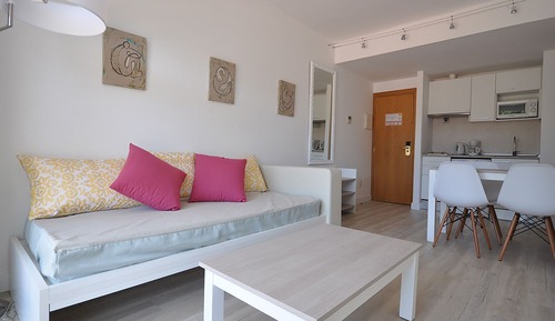 Apartamento básico, 1 habitación, balcón