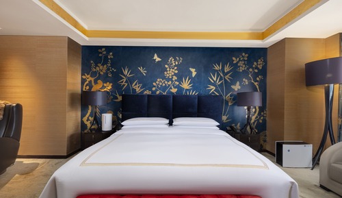 Suite presidencial, 1 cama de matrimonio grande con sofá cama