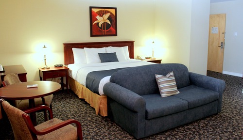 Habitación estándar, 1 cama de matrimonio grande, no fumadores