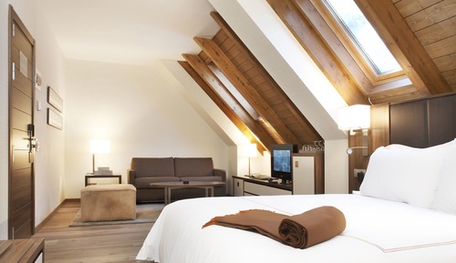 Habitación superior, 1 cama de matrimonio grande con sofá cama, no fumadores (Mountain View)