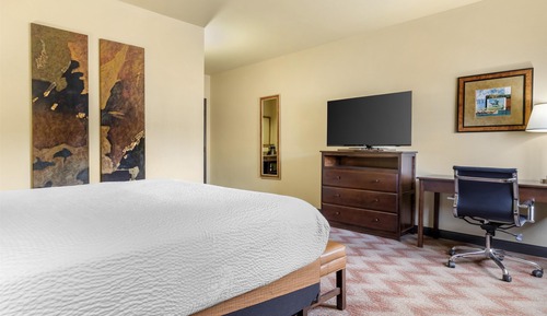 Habitación estándar, 1 cama de matrimonio, no fumadores, frigorífico y microondas