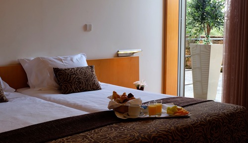 Habitación con 1 cama doble o 2 individuales, vistas al jardín