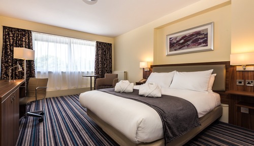 Habitación estándar, 1 cama doble con sofá cama
