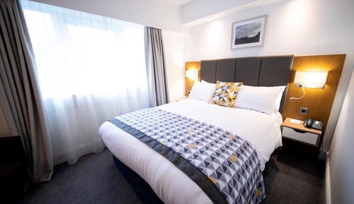 Habitación estándar, 1 cama doble