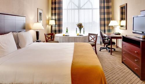 Suite, 1 cama de matrimonio grande con sofá cama