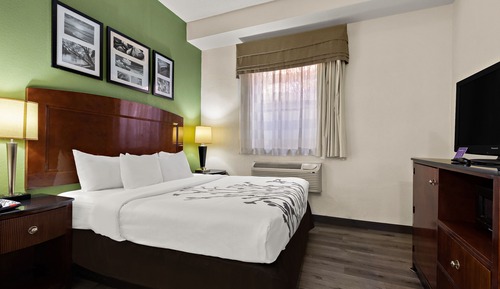 Habitación estándar, 1 cama de matrimonio grande, no fumadores
