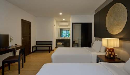 Sea Turtle Suite