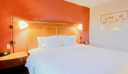 Suite estudio, 1 cama de matrimonio grande
