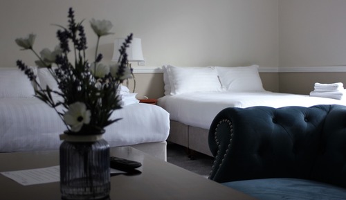 Suite de lujo
