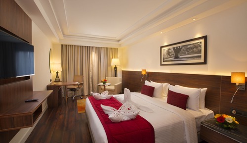 Habitación Premium doble, 1 cama doble, no fumadores