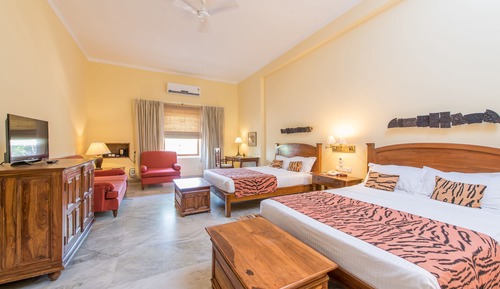 Suite estándar, 1 cama individual grande, no fumadores