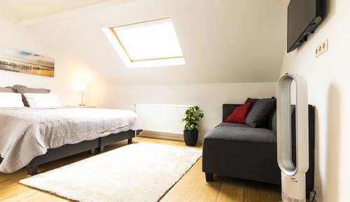 Habitación estándar con 2 camas individuales, 2 camas individuales, planta baja