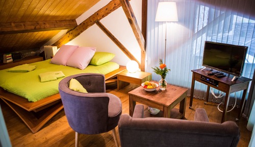 Habitación tradicional doble, 1 cama de matrimonio grande, no fumadores (Les Nids des Oiseaux )