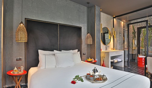 CACTUS SUITE