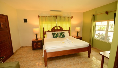 Cabaña Deluxe, 1 cama de matrimonio grande, patio, vistas al jardín