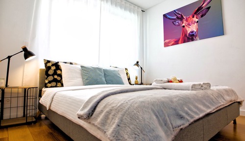Habitación Confort