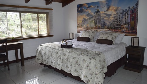 Habitación Deluxe, 1 cama de matrimonio grande, baño privado (Madrid)