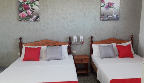 Habitación económica con 1 cama doble o 2 individuales