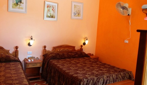 Habitación estándar con 1 cama doble o 2 individuales