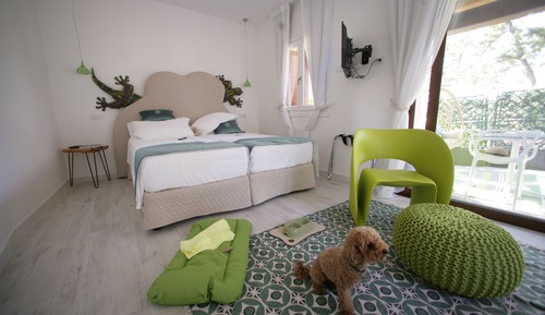 Habitación Confort