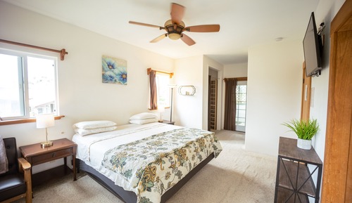 Suite estándar, 1 cama de matrimonio grande, baño privado, vistas al jardín