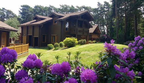 Chalet Deluxe, 3 habitaciones, vistas al complejo turístico, en la zona del jardín