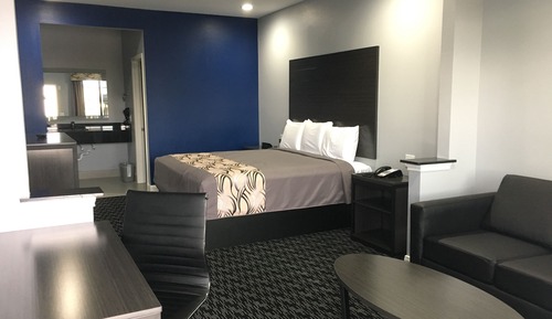 Suite estudio Deluxe, 1 cama de matrimonio grande, accesible para personas con discapacidad