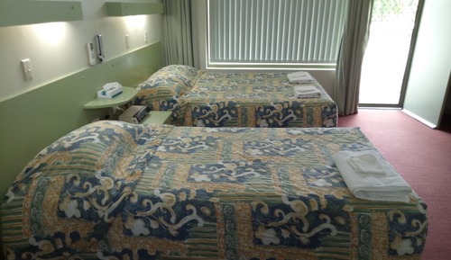 Habitación Deluxe con 2 camas individuales, vistas al jardín